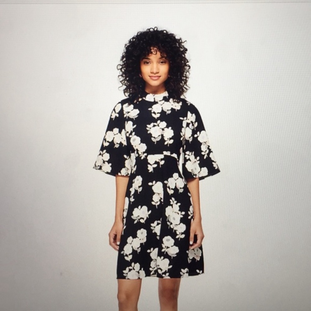 Kate Spade New York Whimsies Posy Floral Swing Dress NWT Size 14